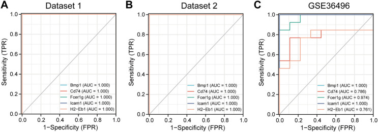 FIGURE 7