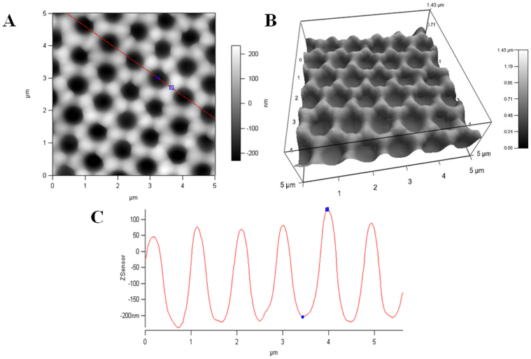 Figure 3