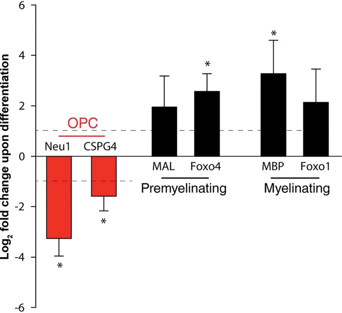 FIG 2