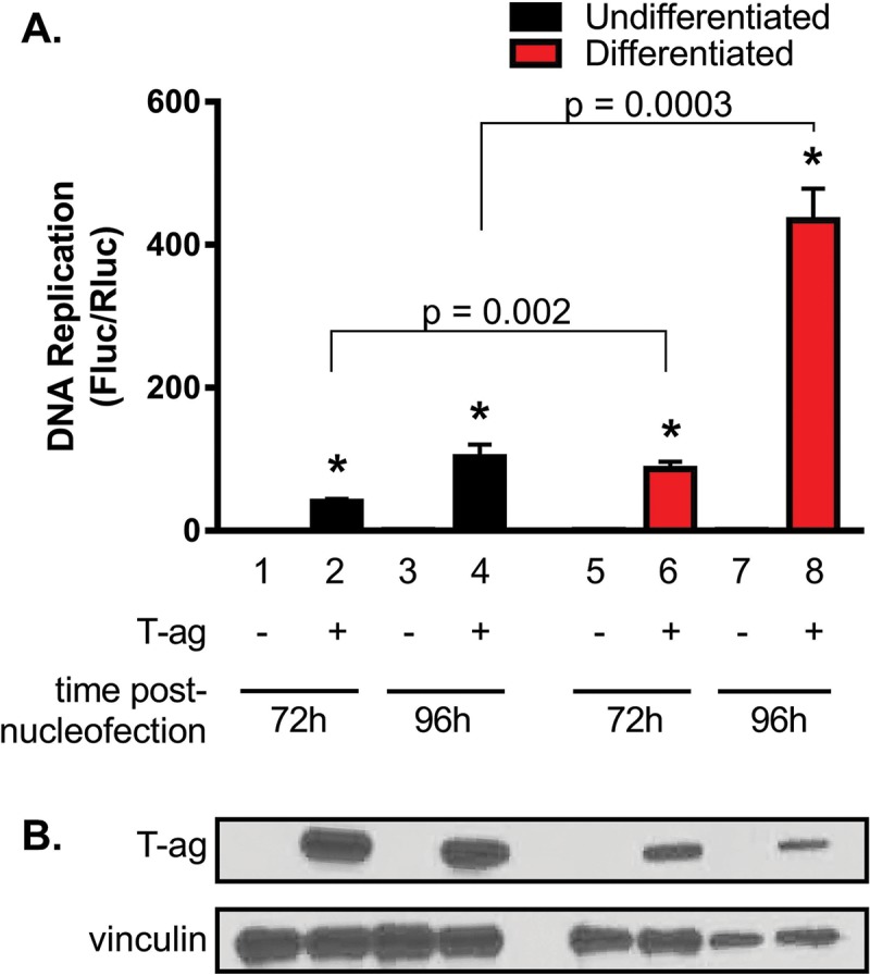 FIG 4