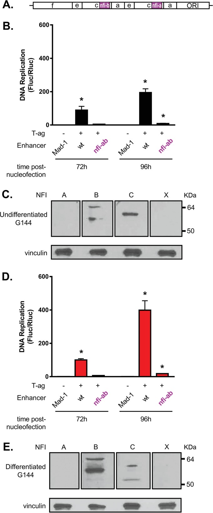 FIG 7