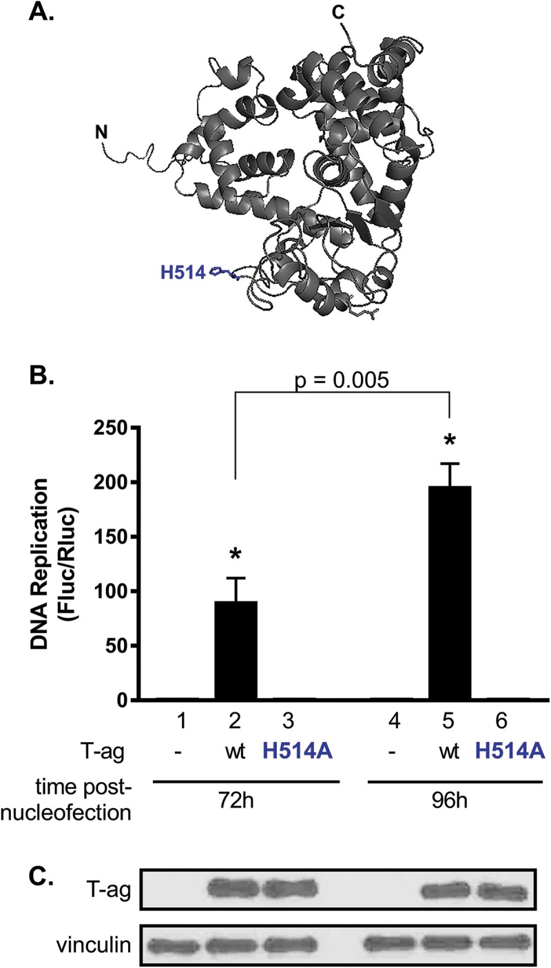 FIG 5