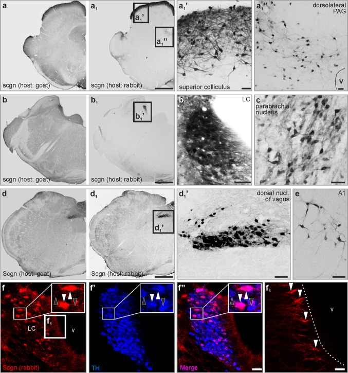 Fig. 4