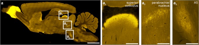 Fig. 3