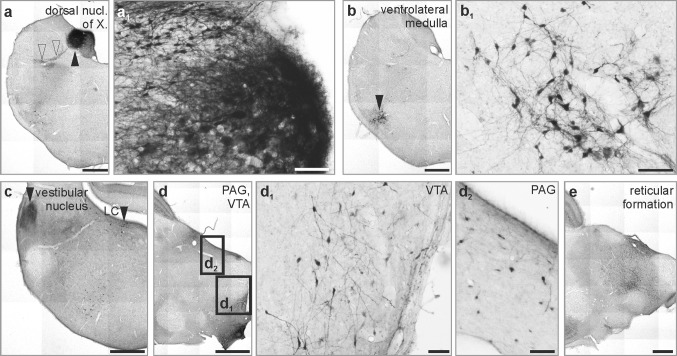 Fig. 7