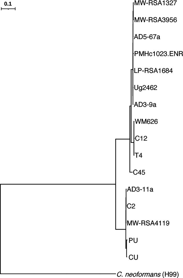 Fig. 2.