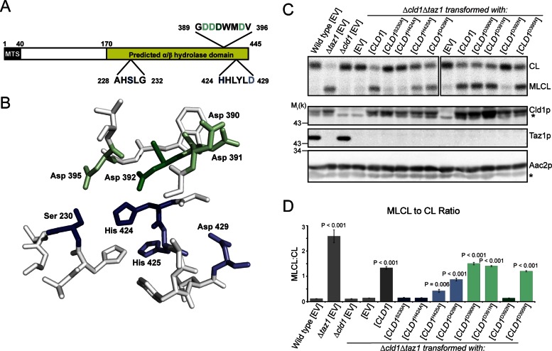 FIGURE 4: