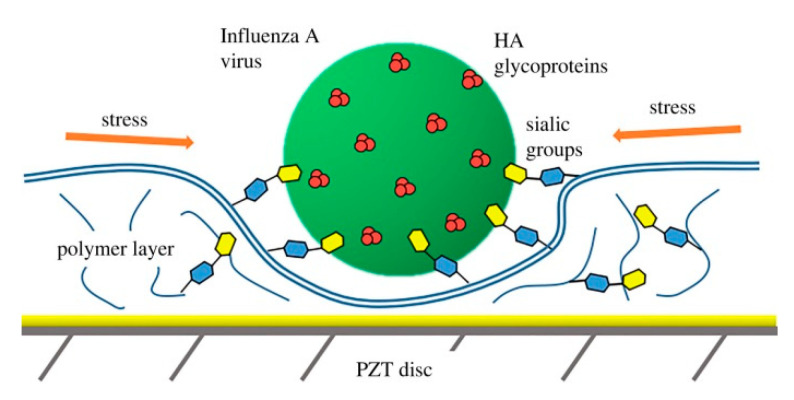 Figure 18