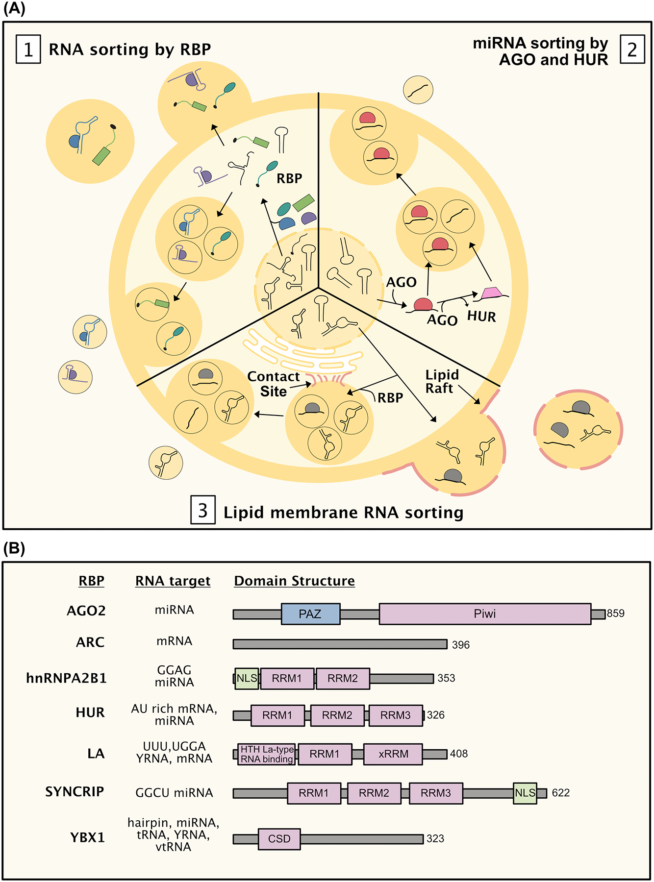 Figure 4: