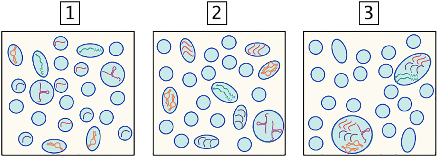 Figure 3: