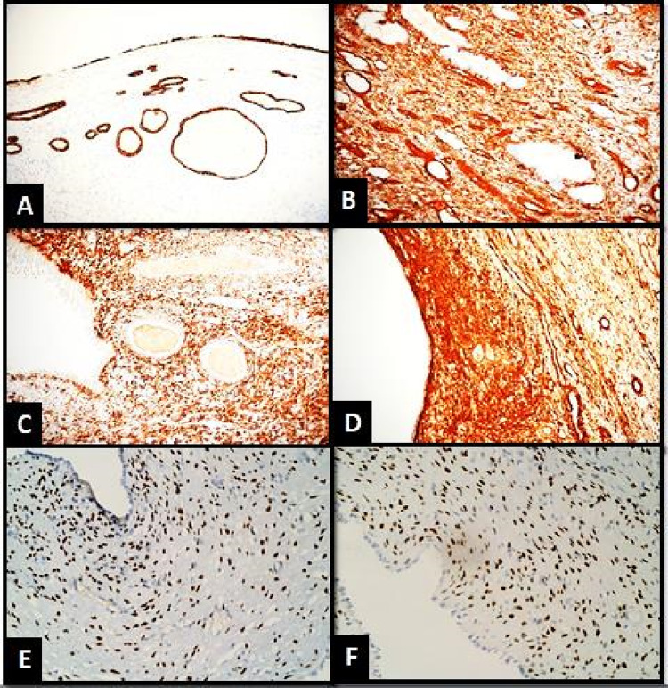Fig. 4