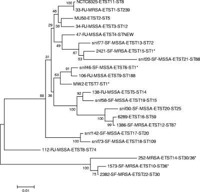 FIG. 1.