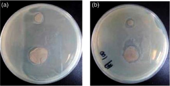 Fig. 23