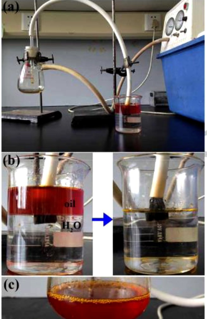 Fig. 21