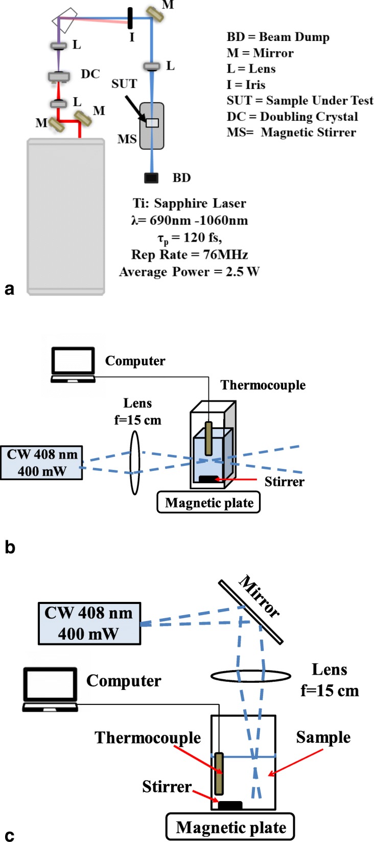 Fig. 1