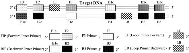 FIG. 1.