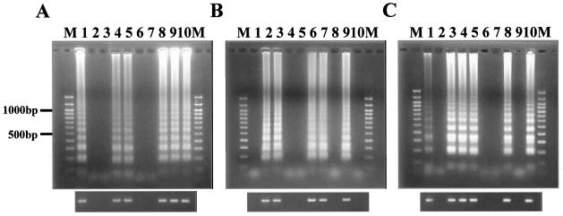 FIG. 4.