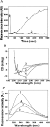 Fig. 5.