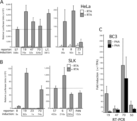 FIG. 2.