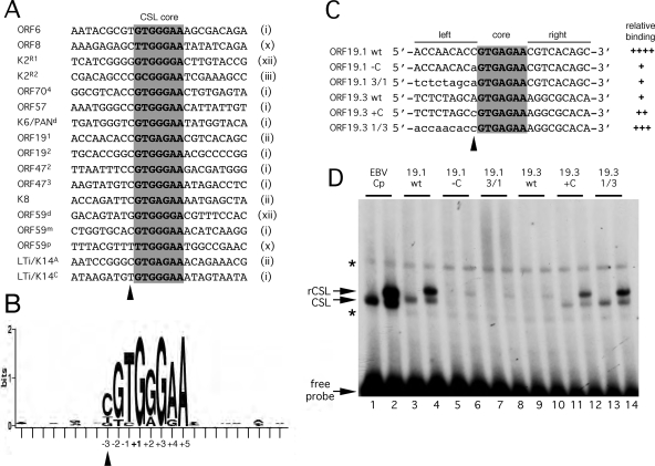 FIG. 9.