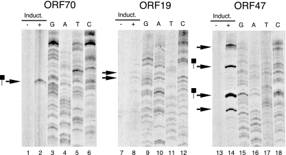 FIG. 7.