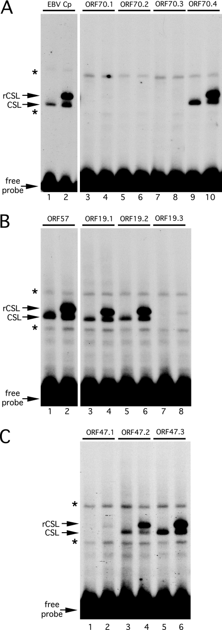 FIG. 8.