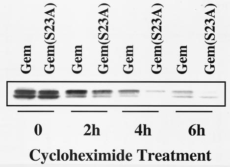 FIG. 6.