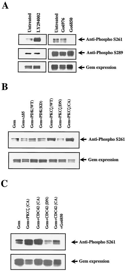 FIG. 9.