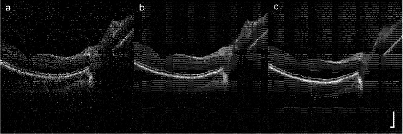 Fig. 7