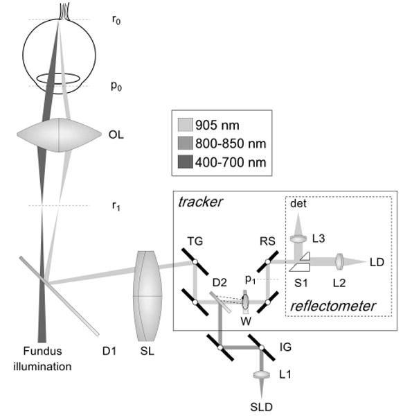 Fig. 1