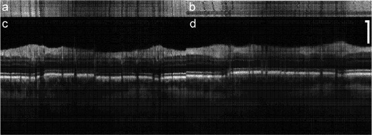 Fig. 6