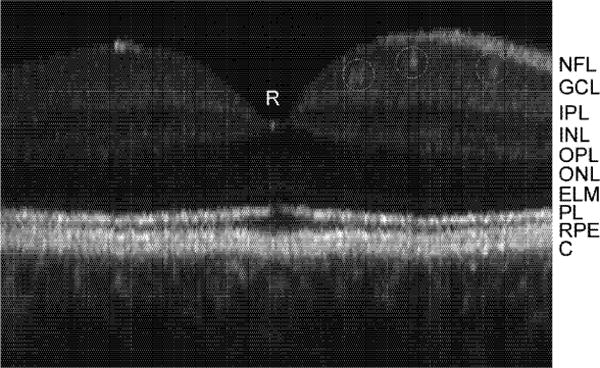 Fig. 8