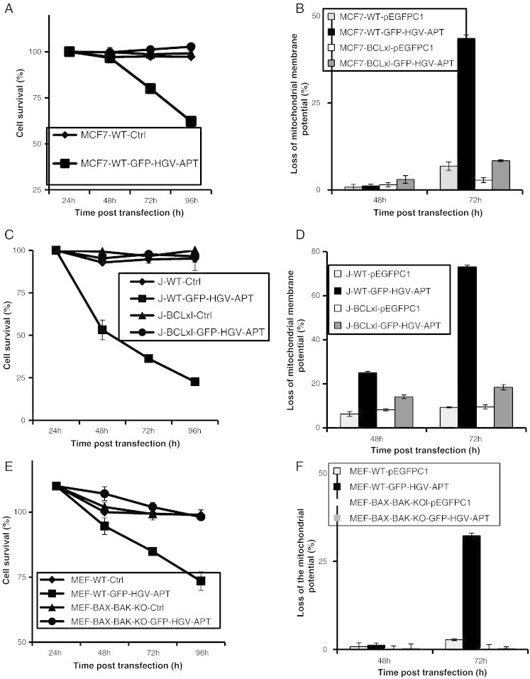 Figure 6