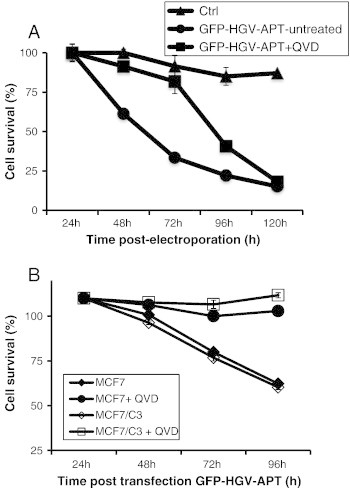 Figure 5