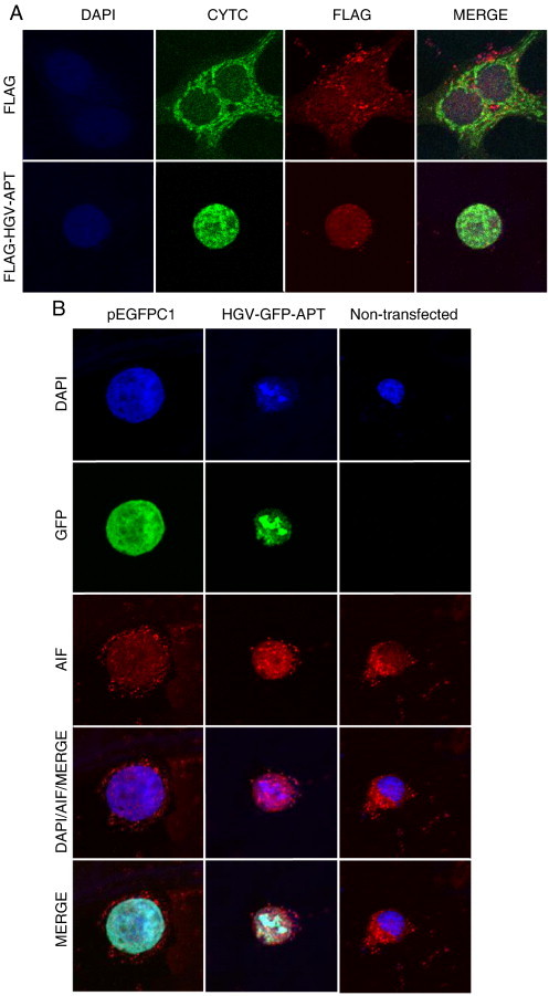 Figure 3