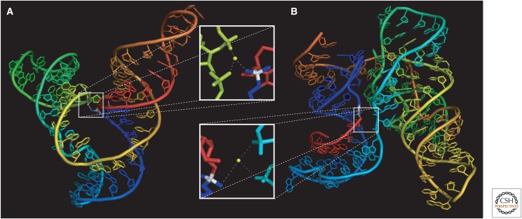 Figure 6.