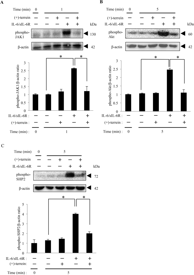 Fig. 3