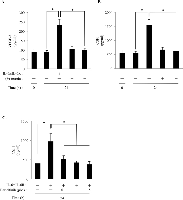 Fig. 2