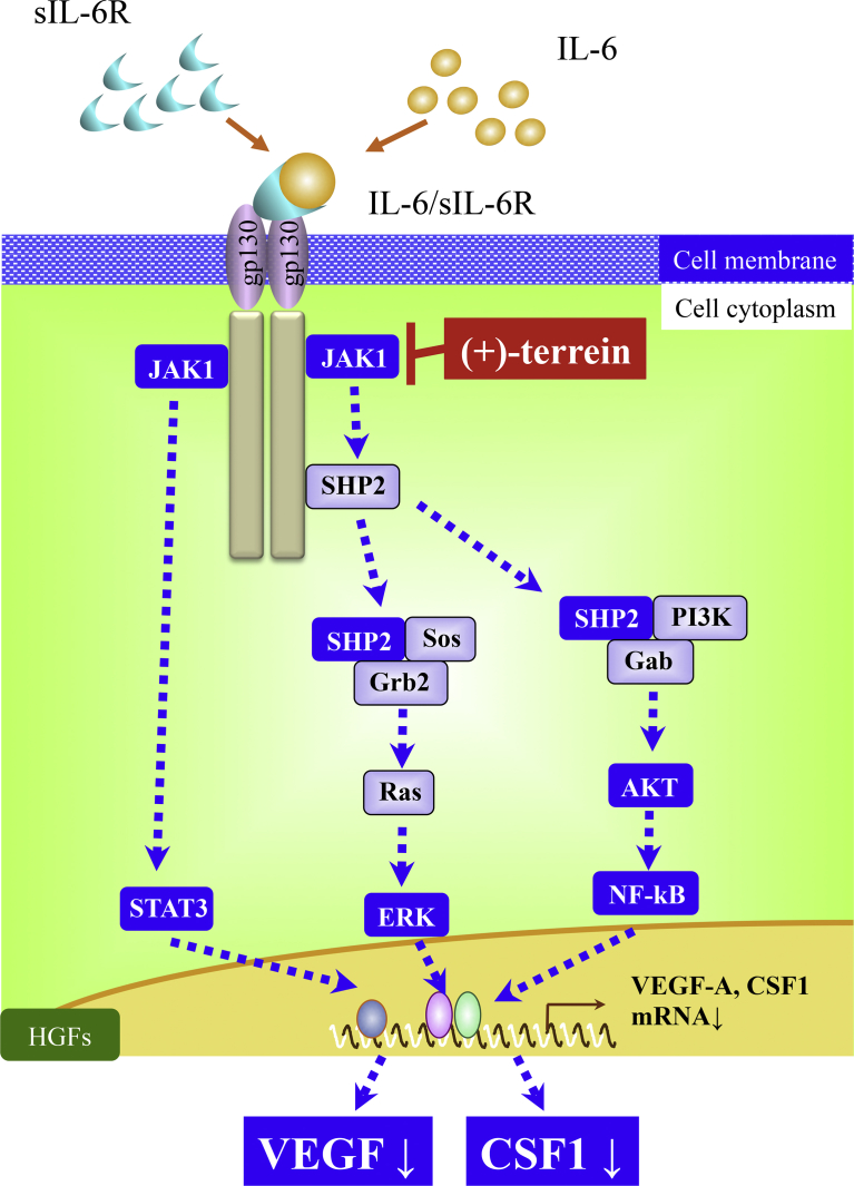 Fig. 4