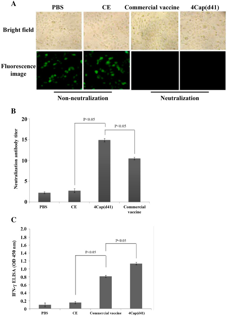 Figure 5