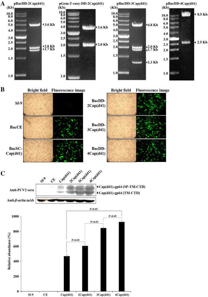 Figure 3