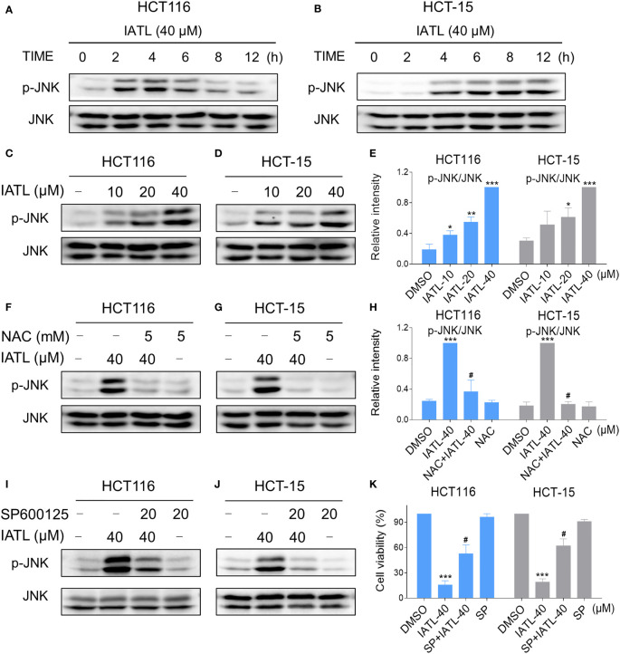 Figure 6