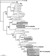 FIG. 4.