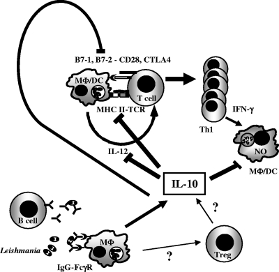 FIG. 4.