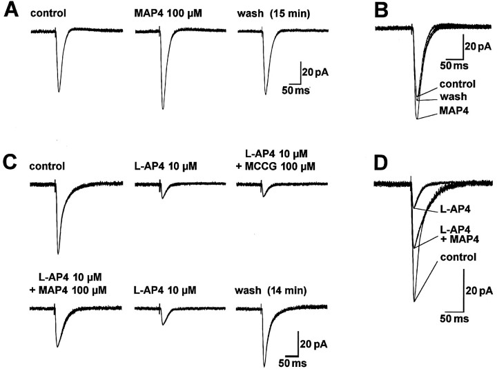 Fig. 9.