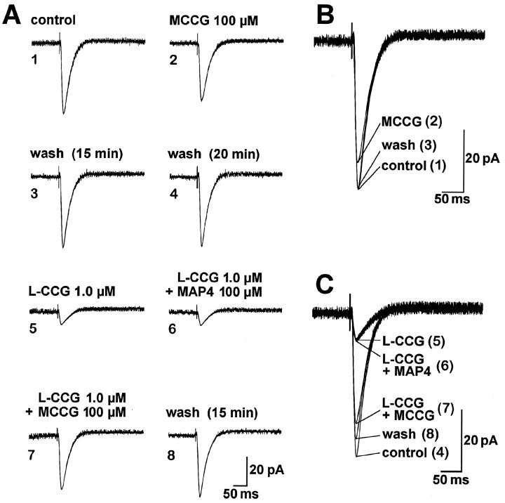 Fig. 8.