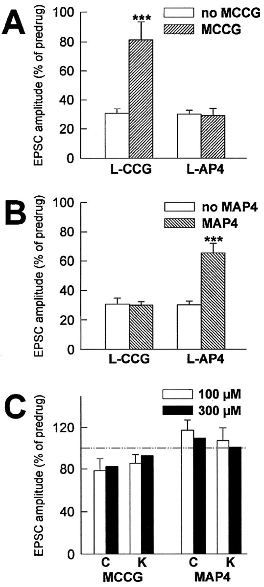 Fig. 10.