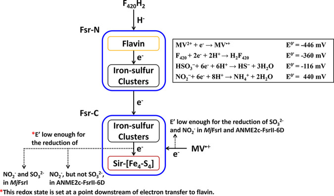 FIG 9