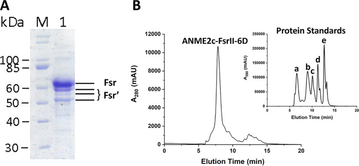 FIG 1