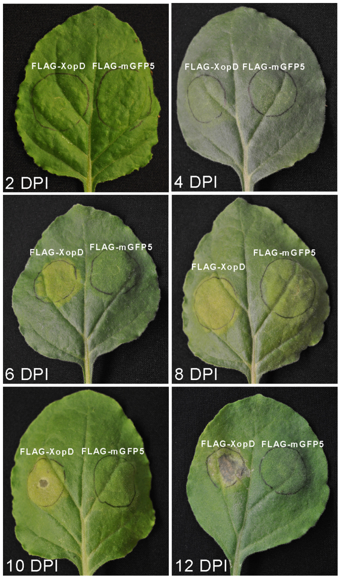 Figure 7